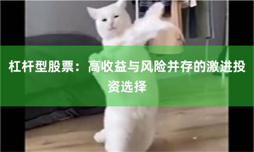 杠杆型股票：高收益与风险并存的激进投资选择